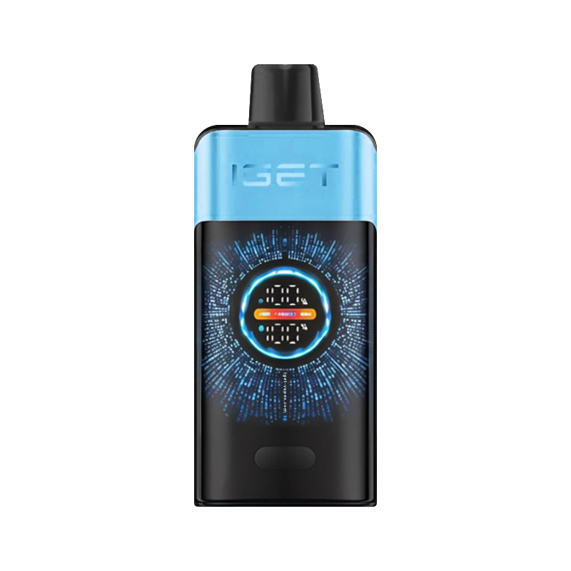 IGET One – Blueberry Ice 12,000 puffs