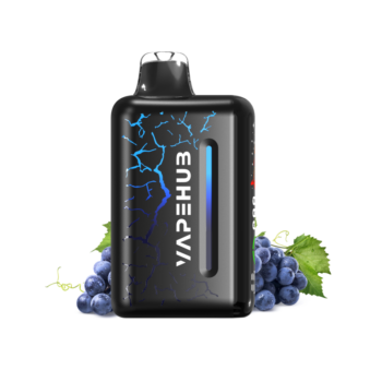 BLUEBERRY BLAST STORM – VAPEHUB ULTRA 20000