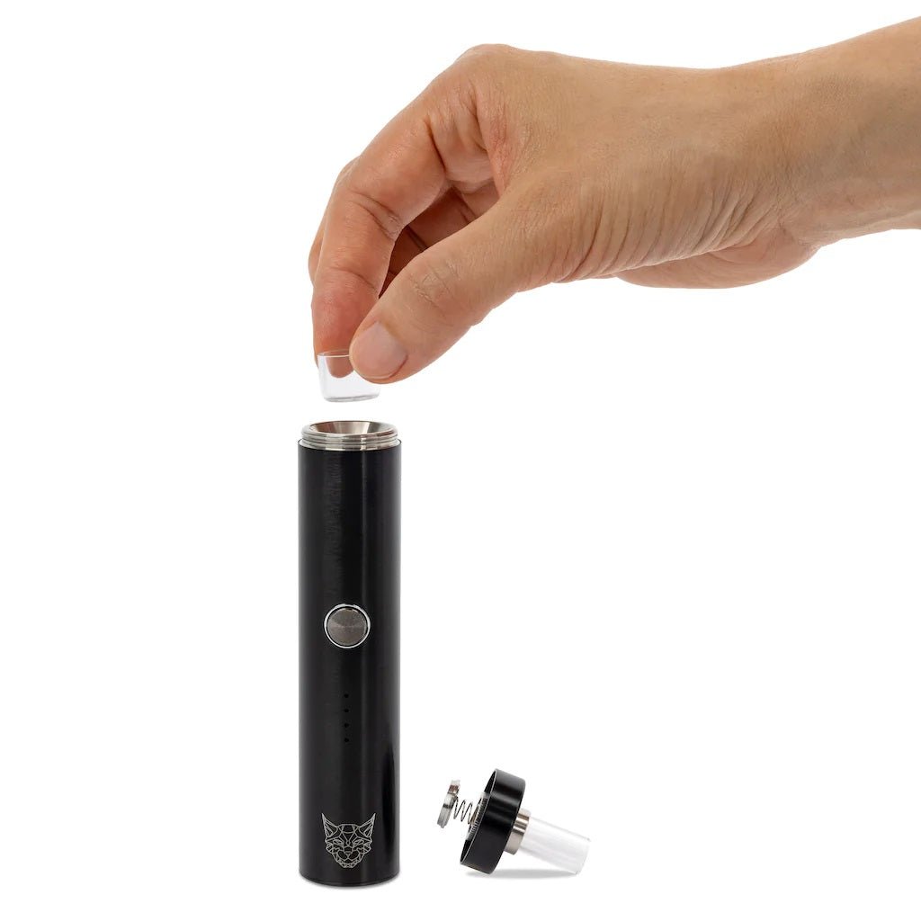 Linx Eden Switch Portable Vaporizer (taxes extra)